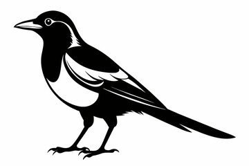 Magpie silhouette on white background, Vector illustration, icon, svg, characters, Holiday t shirt, Hand drawn trendy Vector illustration