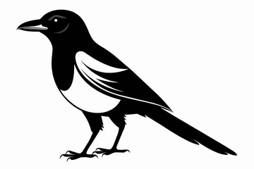 Magpie silhouette on white background, Vector illustration, icon, svg, characters, Holiday t shirt, Hand drawn trendy Vector illustration