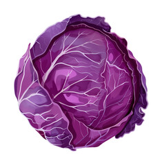 Obraz premium purple cabbage watercolor digital painting good quality