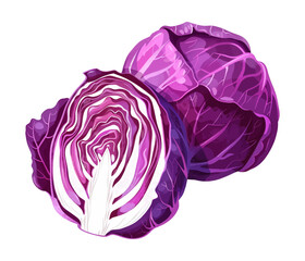 Obraz premium purple cabbage watercolor digital painting good quality