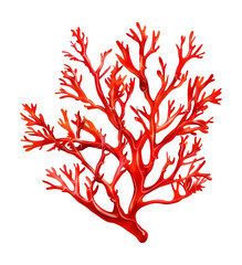 seaweed red watercolor digital painting good quality