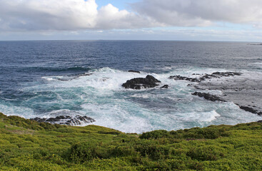 Rocky coastline, ocean waves and grass at The Nobbies on Phillip Island, Victoria, Australia