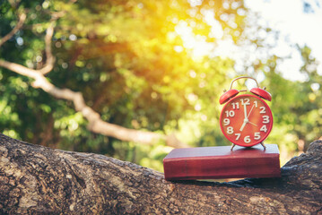 Alarm clock Red vintage retro time on book and tree green nature bokeh nature deadline concept.