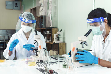 Scientist man woman working together team partner look into Microscope research in science...