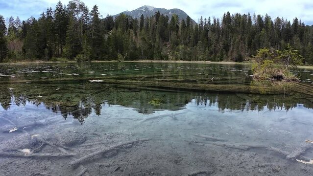 Unter- und &Uuml;berwasser Video vom Riedener See in Tirol mit gruseligen faulenden Baumst&auml;mmen