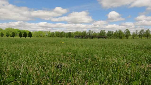 Beautiful summer or springtime scene of a wide open grassy green field that has been freshly mowed. Leafy green trees in the distance. Cloudy blue sky above. Brown park benches are mid-field.