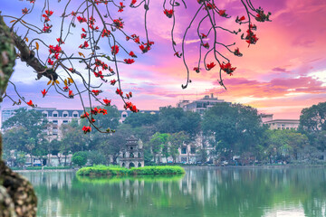 Blooming bombax ceiba branches at Hoan Kiem lake. Turtle Tower  sunset sky on background
