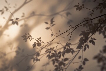 Abstract silhouette shadow background of natural leaves 