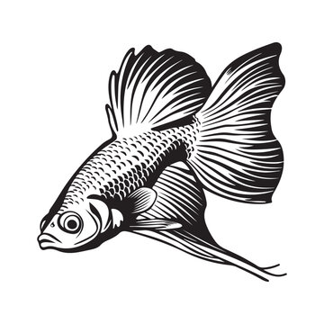 recommend clip art: Guppy Fish Image vector isolated on white background. black and white Guppy Fish