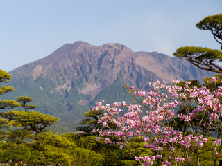桜島