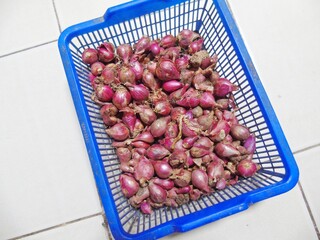 Shallots in a basket. Shallots are a staple in some countries, such as Indonesia, and are in high...