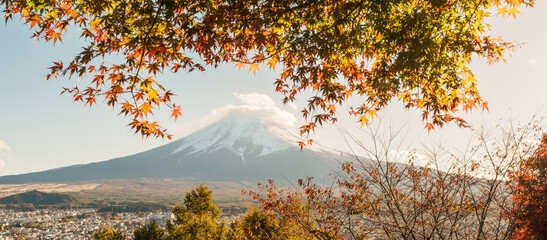 Mount Fuji view in Autumn season, colorful fall foliage leaves at Chureito Pagoda, Yamanashi,...