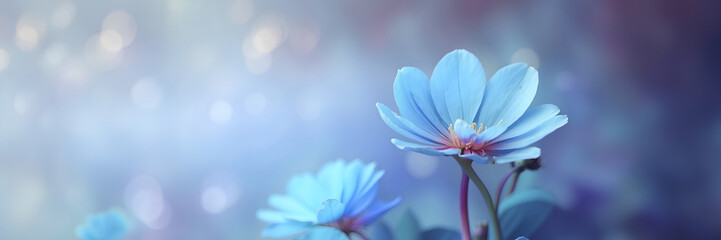 Obraz premium A blue flower with a white center is in the foreground of a blue background. for banner design.