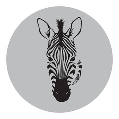 Zebra animal illustration, nature conservation vector black and white stripes Vector illustration