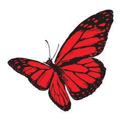 Butterflies silhouette black background on white Background