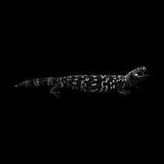 Gila Monster hand drawing vector isolated on black background.