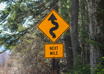 winding road sign in pine tree forest roadside