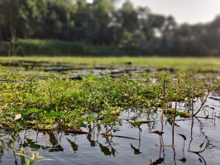 view of village river.
