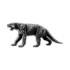 Thylacoleo hand drawing vector isolated on background.