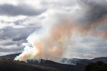 Fototapeta premium controlled burns creating thick smoke over the bush in Australia
