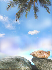 Seashell and stone lectern, podium on  tropical summer background. Empty space for text or podium for presentation product
