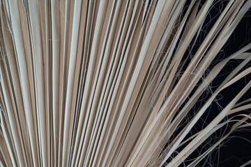 dry leaves of the plant