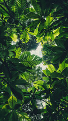 Tropical green leaves create a lush and vibrant background