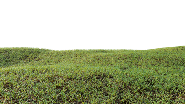 The grass with seedlings on the ground has just been born on a transparent background. - Powered by Adobe