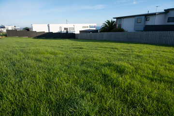 A vacant lot of land covered by green grass ready to build new home with some suburban modern residential houses in the background. Concept of real estate land for sale, housing market, and property