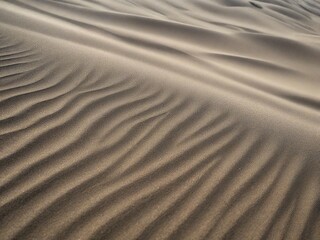 Obraz premium sand dunes in the desert