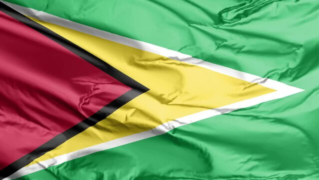 waving flag of guyana