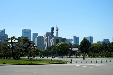 Obraz premium 皇居前広場から見た東京の都市景観