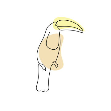 recommend clip art: Toucan Bird Continuous Line Vector. Black linear sketch isolated on white background. Vector illustration