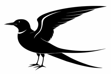Tern silhouette on white background, Vector illustration, icon, svg, characters, Holiday t shirt, Hand drawn trendy Vector illustration, illustration of a seagu