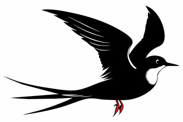 Tern silhouette on white background, Vector illustration, icon, svg, characters, Holiday t shirt, Hand drawn trendy Vector illustration, illustration of a seagu