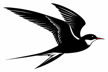 Tern silhouette on white background, Vector illustration, icon, svg, characters, Holiday t shirt, Hand drawn trendy Vector illustration, illustration of a seagu
