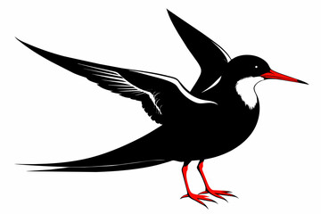 Tern silhouette on white background, Vector illustration, icon, svg, characters, Holiday t shirt, Hand drawn trendy Vector illustration, illustration of a seagu