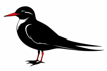 Tern silhouette on white background, Vector illustration, icon, svg, characters, Holiday t shirt, Hand drawn trendy Vector illustration, illustration of a seagu