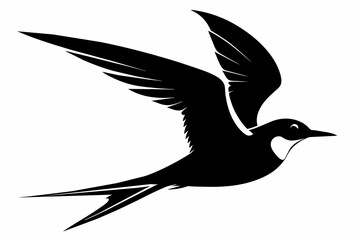 Tern silhouette on white background, Vector illustration, icon, svg, characters, Holiday t shirt, Hand drawn trendy Vector illustration, illustration of a seagu