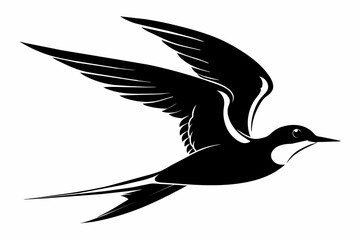Tern silhouette on white background, Vector illustration, icon, svg, characters, Holiday t shirt, Hand drawn trendy Vector illustration, illustration of a seagu