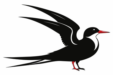 Tern silhouette on white background, Vector illustration, icon, svg, characters, Holiday t shirt, Hand drawn trendy Vector illustration, illustration of a seagu
