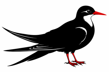 Tern silhouette on white background, Vector illustration, icon, svg, characters, Holiday t shirt, Hand drawn trendy Vector illustration, illustration of a seagu