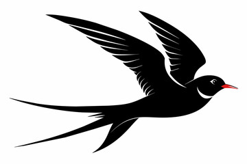 Tern silhouette on white background, Vector illustration, icon, svg, characters, Holiday t shirt, Hand drawn trendy Vector illustration, illustration of a seagu