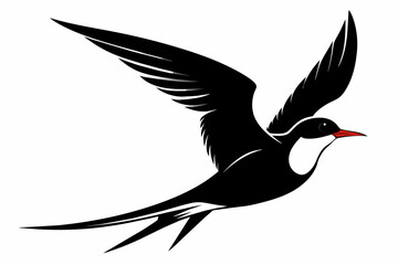 Tern silhouette on white background, Vector illustration, icon, svg, characters, Holiday t shirt, Hand drawn trendy Vector illustration, illustration of a seagu