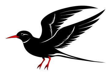 Tern silhouette on white background, Vector illustration, icon, svg, characters, Holiday t shirt, Hand drawn trendy Vector illustration, illustration of a seagu