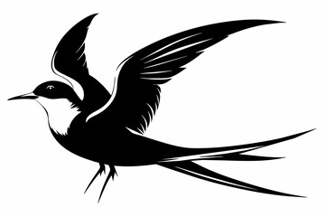 Tern silhouette on white background, Vector illustration, icon, svg, characters, Holiday t shirt, Hand drawn trendy Vector illustration, illustration of a seagu