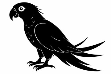 Parrot silhouette on white background, Vector illustration, bird, icon, svg, characters, Holiday t shirt, Hand drawn trendy Vector illustration, illustration of a seagull
