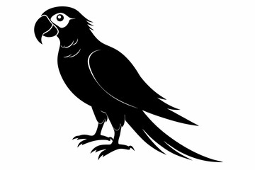 Parrot silhouette on white background, Vector illustration, bird, icon, svg, characters, Holiday t shirt, Hand drawn trendy Vector illustration, illustration of a seagull
