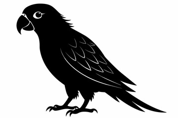 Parrot silhouette on white background, Vector illustration, bird, icon, svg, characters, Holiday t shirt, Hand drawn trendy Vector illustration, illustration of a seagull
