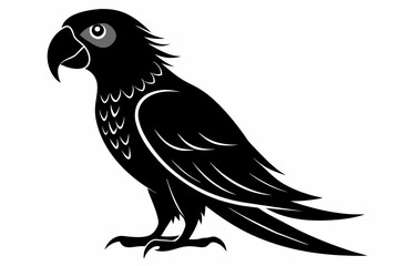 Parrot silhouette on white background, Vector illustration, bird, icon, svg, characters, Holiday t shirt, Hand drawn trendy Vector illustration, illustration of a seagull

